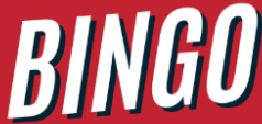 Bingo Ticket
